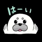 アザラシのましゅまろくん1