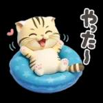ねこちぃず♡夏スタンプ