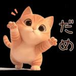 ぽっちゃりちび橘猫2