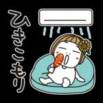 はな子✿夏真っ盛り日常。