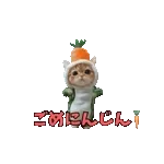動く！踊るダジャレ猫ミーム！