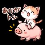 猫のつめあわせ④【ダジャレ】