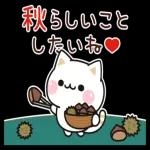 秋の気づかいのできるネコ♪飛び出す！