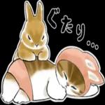 にゃんぱんつ_-_～