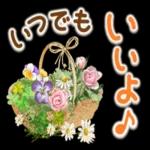 いつでも
いいよ♪