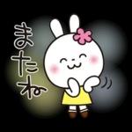 優しい2!!かわいい白うさぎ