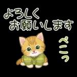 冬のキラキラおめめの子猫ちゃん