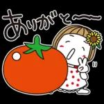 はな子✿夏真っ盛り日常。