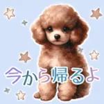 かなしいです