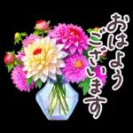 おはようございます