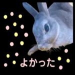 むーちゃんかわいこちゃんのスタンプ