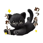 関西弁♡動く猫ぬいの家族連絡(黒猫)