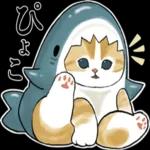 サメにゃん_----