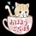 毎日使える♡大人可愛い