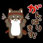 黒豆柴 あずき♡毎日使える 秋冬ver