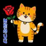 オレンジ色の猫がハートを送った
