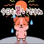 超人気スタンプ🔥🔥🔥   