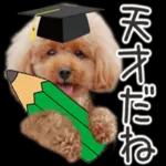 トイプーらっちゃんのなりきり編<日常言葉>