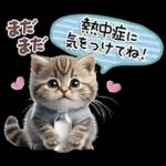 ねこちぃずNEO★やさしい秋スタンプ