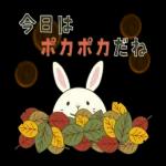 今日は寒いですね！！