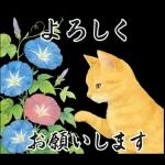 飛び出す【夏】ずっと使える大人のご挨拶