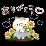 となりのにゃんこ　summer2022