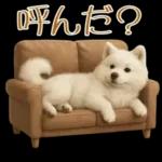 白いモフモフ～その名はサモエド！２