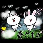 🌼春の息吹パッケージ2