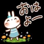 毎日便利✨白うさぎさん_-_