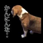4時の楽しみ🥳🥳🥳	新しいスタンプを見逃さないで