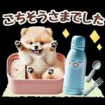 癒しポメラニアンの春のあいさつ