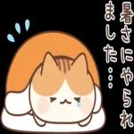 暑かったに…
まじた: