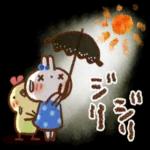 夏・天気✨【白うさぎ＆時々インコ】