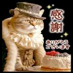 より良い日になるでしょう
