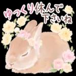 かわいらしい小さな花だ