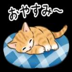 ごめんなさい Sorry