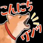 柴犬の手書き風スタンプです。