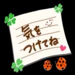 ダブルの幸運です❤️よつ葉＆てんとう虫