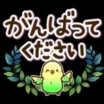 頑張って！頑張って！