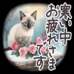 寒いから気を
つけてね!*
0.0