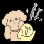 アヒルの子のおみやげ🤒