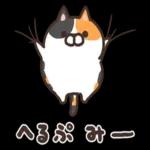 ニャー星人の楽園🤩🤩