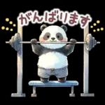 パンダのつめあわせ