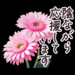 毎日使える お花 敬語✿大人上品お花