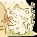 体調気遣い☆猫たちのスタンプ