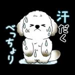 動く犬さん 2025 「暑い夏」
