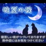 暑中見舞い♡夏のご挨拶♡候文