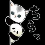 深夜はスマホを置いて😪😪