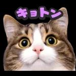 可愛い猫スタンプ！！