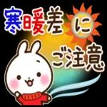 🌼春の息吹パッケージ